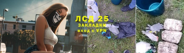 ПСИЛОЦИБИНОВЫЕ ГРИБЫ Михайловка