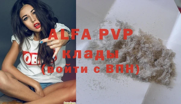 ПСИЛОЦИБИНОВЫЕ ГРИБЫ Михайловка