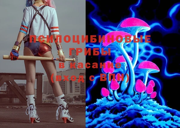 ПСИЛОЦИБИНОВЫЕ ГРИБЫ Михайловка