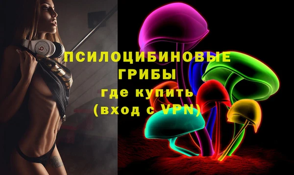Альфа ПВП Михайловск